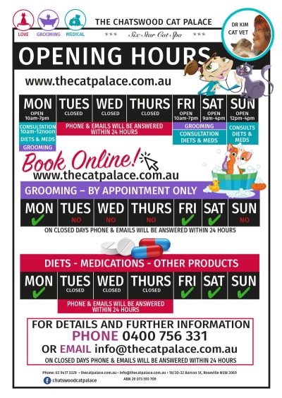opening-hours