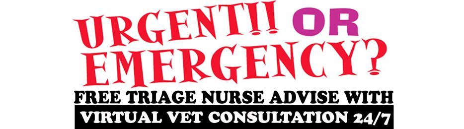 emergency-edit