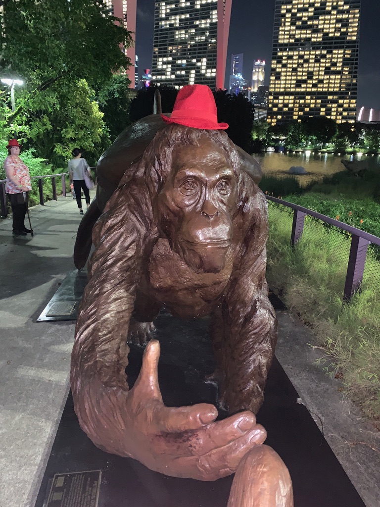 Singapore-1